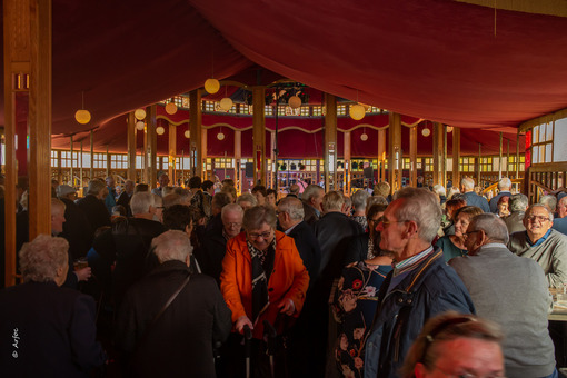 100-jaar-einde-eerste-wereldoorlog-dansnamiddag-seniorenraad