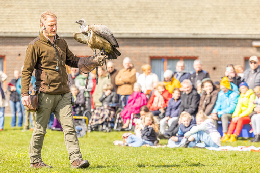 Roofvogeldemonstratie 184