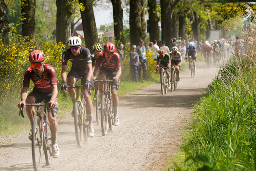 BK Gravel 2024 50