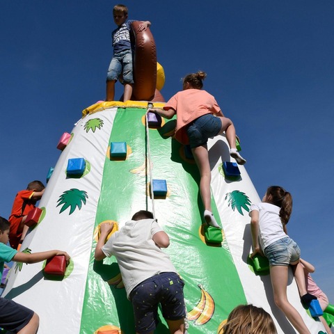 0 DSC6331