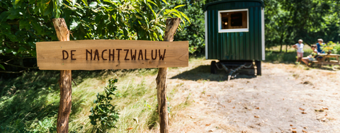 De nachtzwaluw