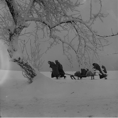 Winter