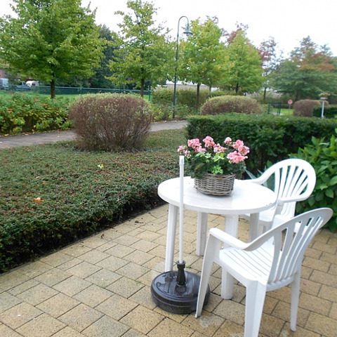 Terras