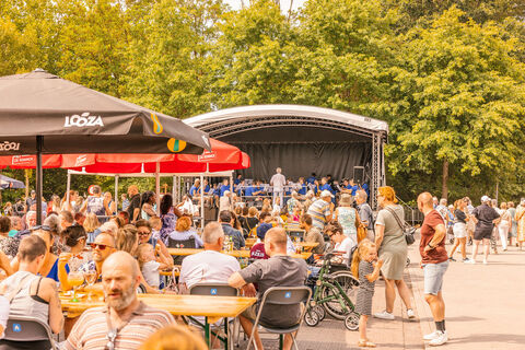 54611568082 dcaf615123 b