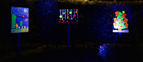 Aren DONKER licht op 2024 27