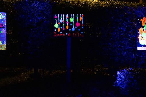 Aren DONKER licht op 2024 27